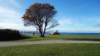 dsc03315fx_small.jpg
