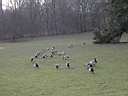 PICT0001.JPG