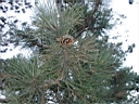 PICT0004.JPG