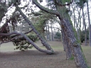 PICT0005.JPG