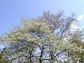 PICT0023.JPG
