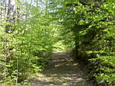 PICT0039.JPG