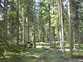 PICT0055.JPG