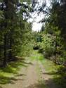 PICT0057.JPG