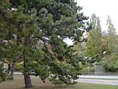 PICT0016.JPG