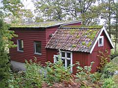 Tillbaka-i-Skogen-011.jpg
