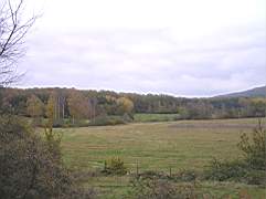Tillbaka-i-Skogen-034.jpg