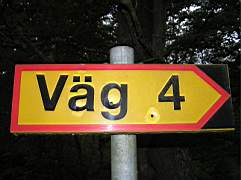 Tillbaka-i-Skogen-052.jpg