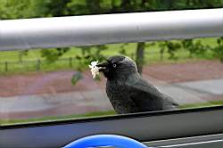 050612-Matdax-017.jpg