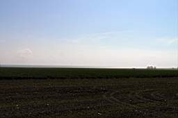 P5133916fix.jpg