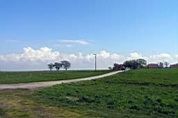 P5133920fix.jpg