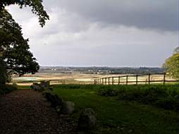 PA074727fix.jpg