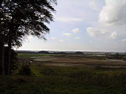 PA074733fix.jpg