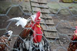 DSC_0715fix.jpg