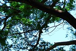 DSC_3470fix.jpg