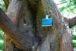 DSC_3472fix.jpg