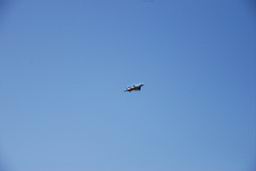 DSC_4157fix.jpg