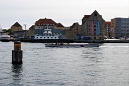 DSC_4354fx.jpg