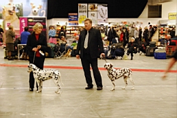 DSC_5440fx.jpg