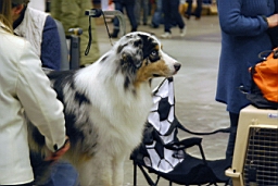 DSC_5451fx.jpg