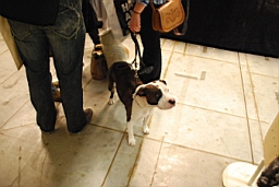 DSC_5484fx.jpg