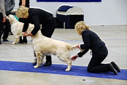 DSC_5501fx.jpg