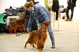 DSC_5505fx.jpg