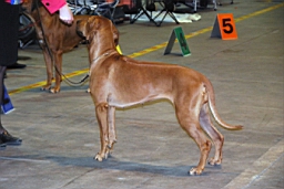 DSC_5514fx.jpg