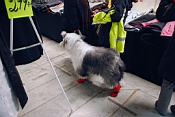 DSC_5517fx.jpg