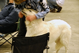 DSC_5544fx.jpg