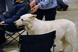 DSC_5546fx.jpg