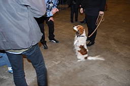 DSC_5547fx.jpg