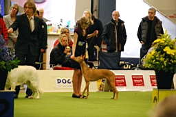 DSC_5553fx.jpg