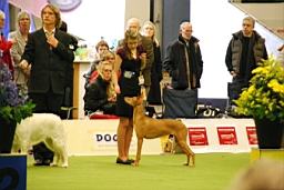 DSC_5554fx.jpg