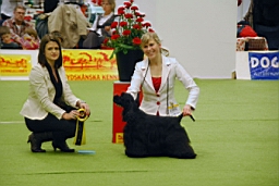DSC_5558fx.jpg