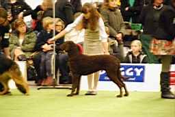 DSC_5564fx.jpg