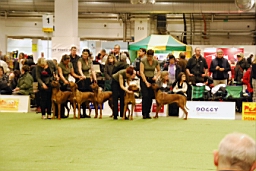 DSC_5567fx.jpg