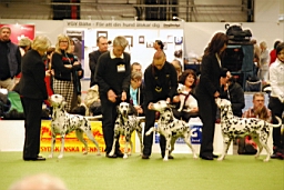 DSC_5568fx.jpg