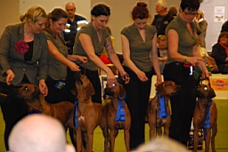 DSC_5571fx.jpg