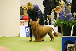 DSC_5573fx.jpg
