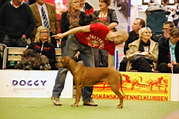 DSC_5574fx.jpg