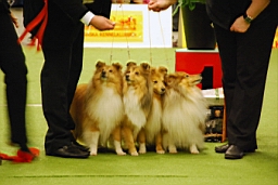 DSC_5581fx.jpg