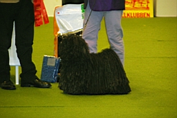 DSC_5583fx.jpg