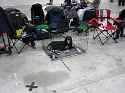 IMG_0145fx.jpg