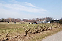 DSC_5701fx.jpg