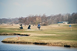 DSC_5702fx.jpg