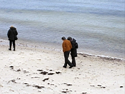 IMG_0242fx.jpg