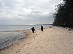 IMG_0246fx.jpg