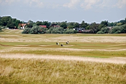 DSC_6619fx.jpg