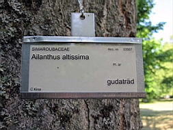 IMG_1076fx.jpg